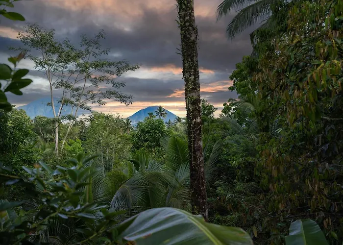 Lodge Niente Bali